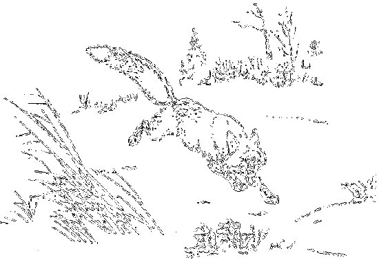 Рассказы охотника - i_017.png