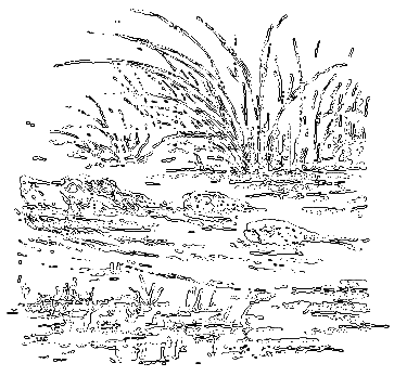 Рассказы охотника - i_023.png