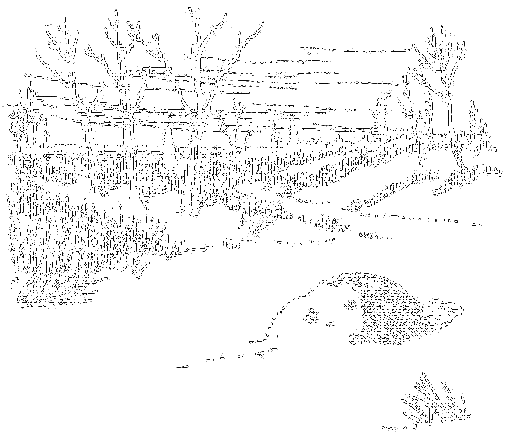 Рассказы охотника - i_025.png