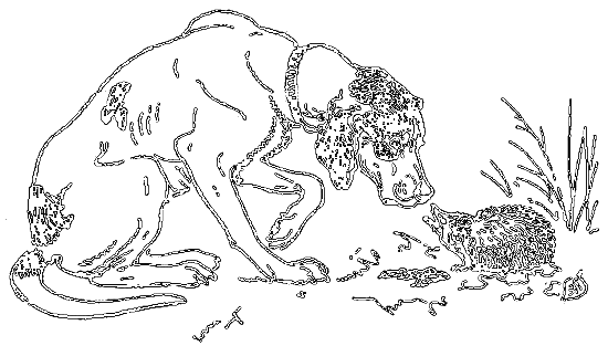 Рассказы охотника - i_030.png