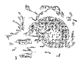 Рассказы охотника - i_031.png