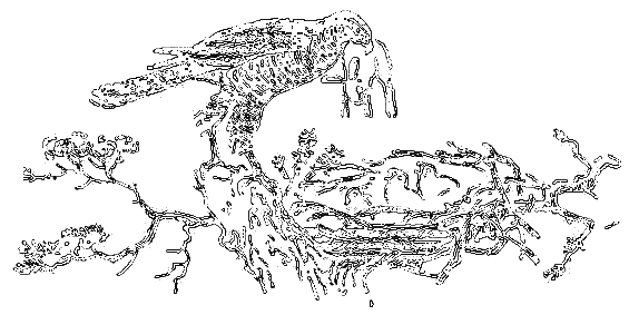 Рассказы охотника - i_032.png