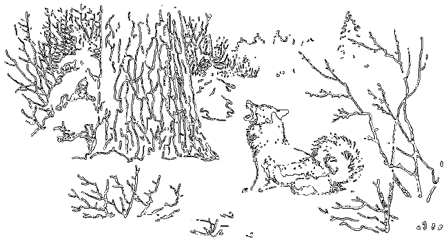 Рассказы охотника - i_037.png