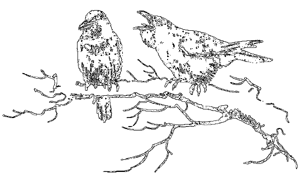 Рассказы охотника - i_039.png