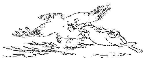 Рассказы охотника - i_040.png