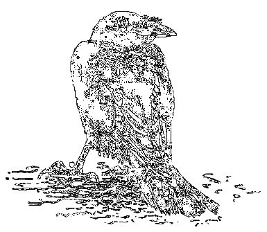 Рассказы охотника - i_041.png