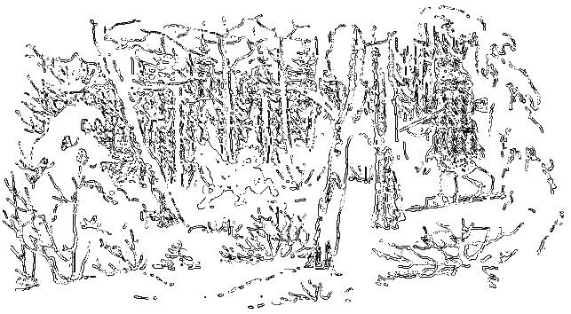 Рассказы охотника - i_044.png