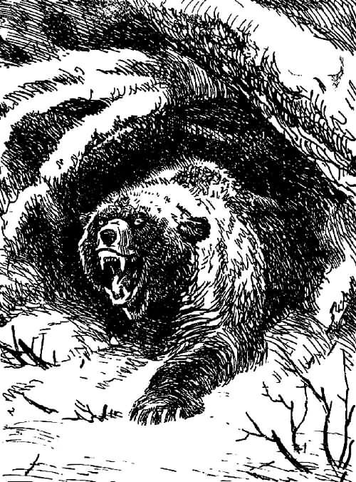 Рассказы охотника - i_045.jpg