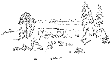 Рассказы охотника - i_046.png