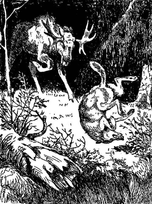 Рассказы охотника - i_053.jpg