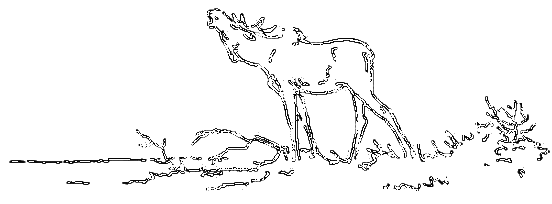 Рассказы охотника - i_054.png