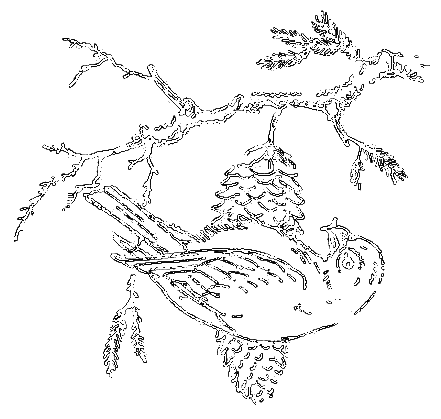 Рассказы охотника - i_055.png