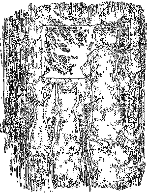 Рассказы охотника - i_058.png