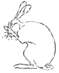 Рассказы охотника - i_059.png