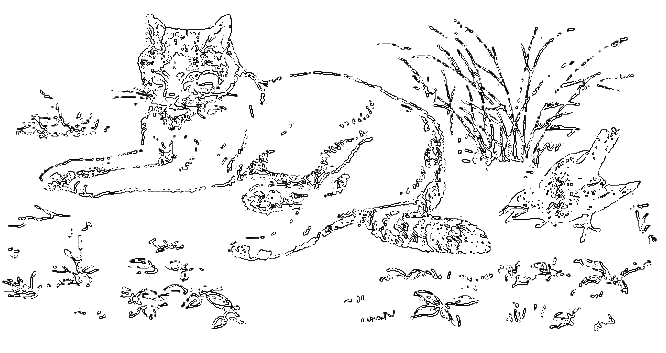 Рассказы охотника - i_060.png