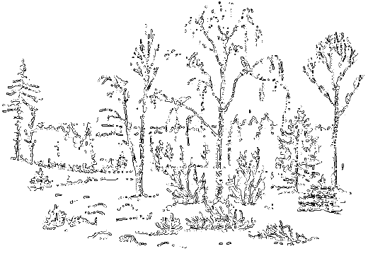 Рассказы охотника - i_064.png