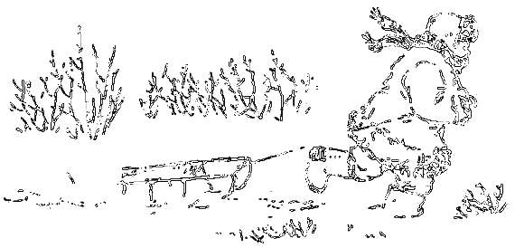 Рассказы охотника - i_066.png