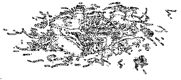 Рассказы охотника - i_067.png