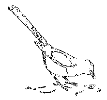 Рассказы охотника - i_069.png