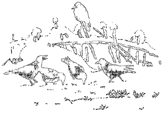 Рассказы охотника - i_070.png