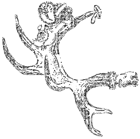 Рассказы охотника - i_072.png