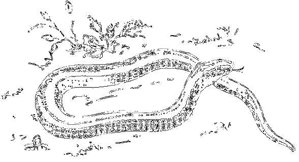 Рассказы охотника - i_075.png