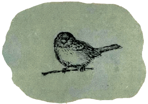 Воробей. Синица - i_001.png