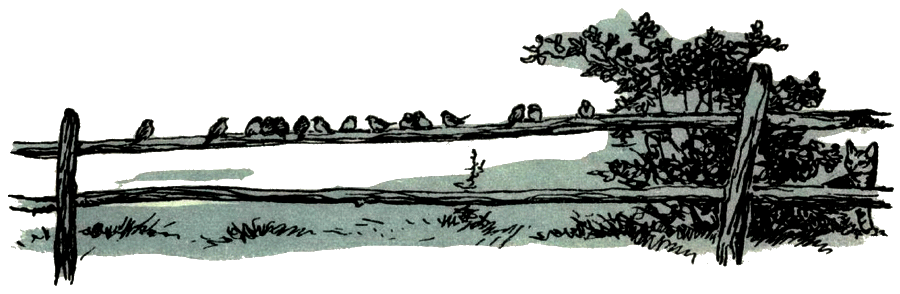 Воробей. Синица - i_002.png