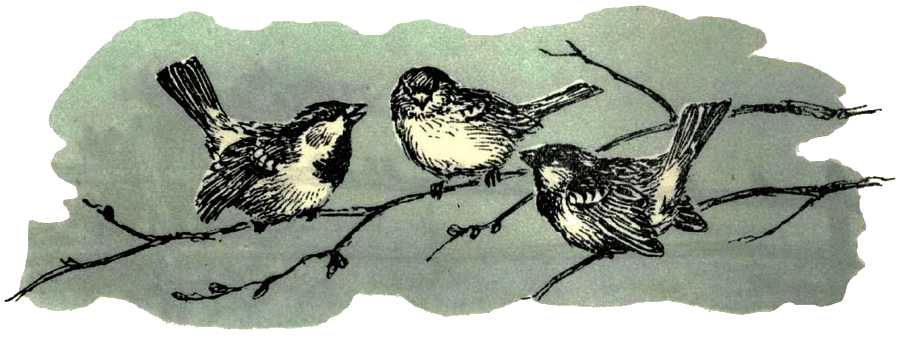 Воробей. Синица - i_003.png