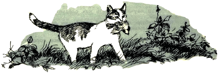 Воробей. Синица - i_004.png