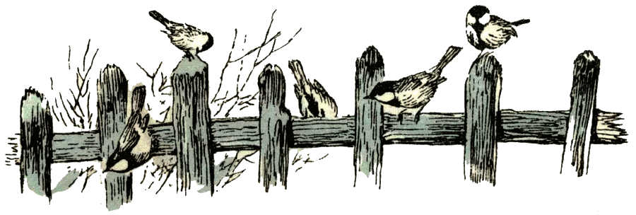 Воробей. Синица - i_009.png