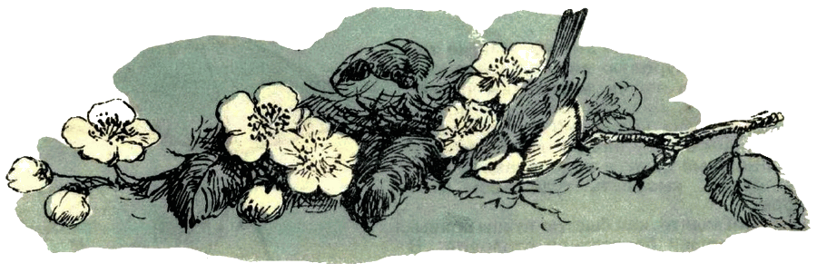 Воробей. Синица - i_011.png