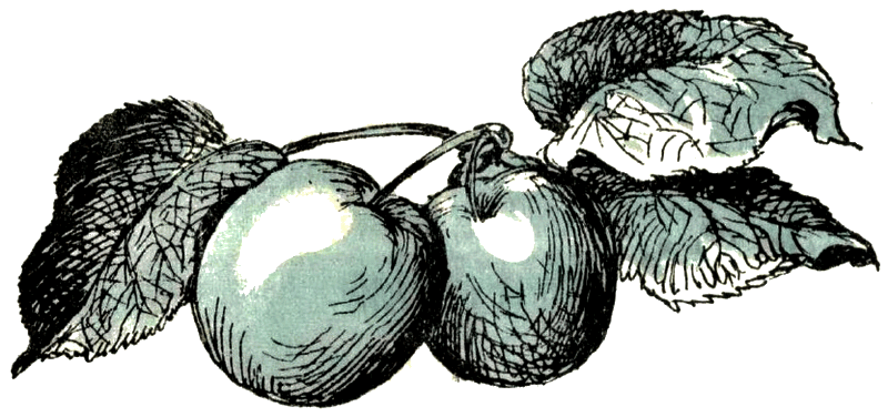 Воробей. Синица - i_013.png