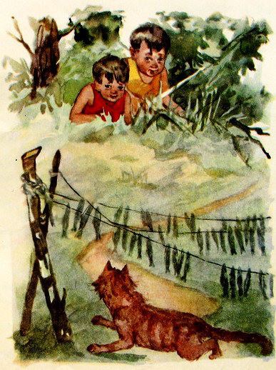 Мишка-хвастун - i_011.jpg