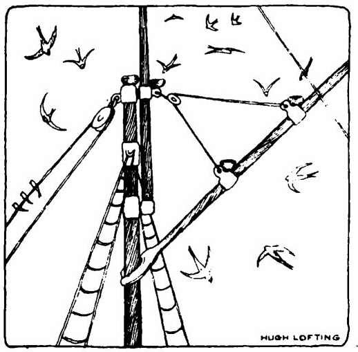 Доктор Дулитл и его звери - i_029.jpg