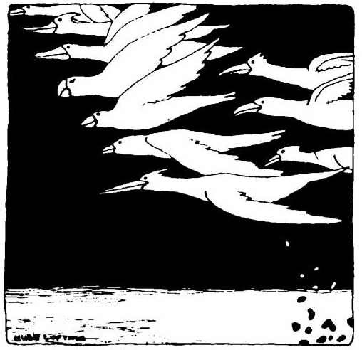 Доктор Дулитл и его звери - i_036.jpg