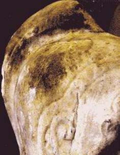 Типология разрушений памятников культуры - i_052.jpg