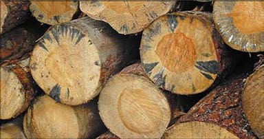 Типология разрушений памятников культуры - i_082.jpg