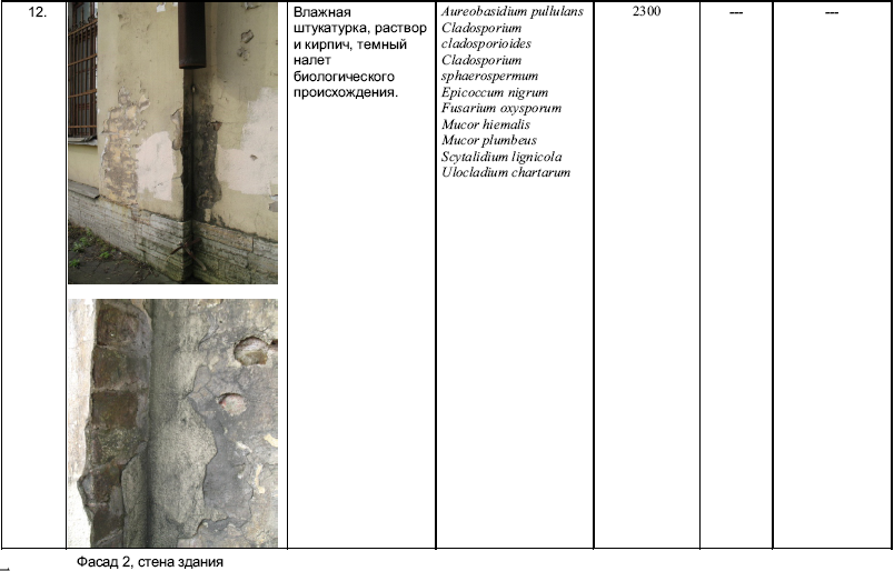 Типология разрушений памятников культуры - i_136.png