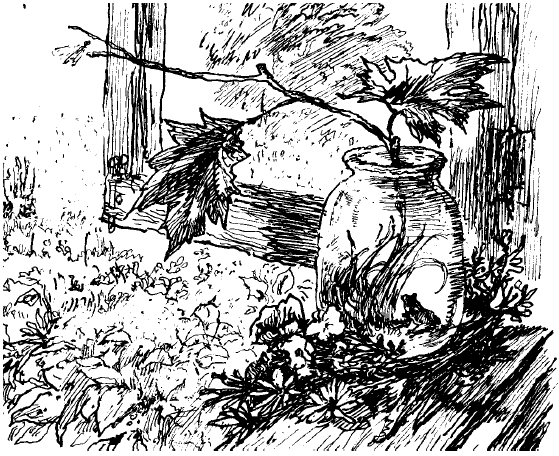 Заячьи лапы (сборник) - i_027.png