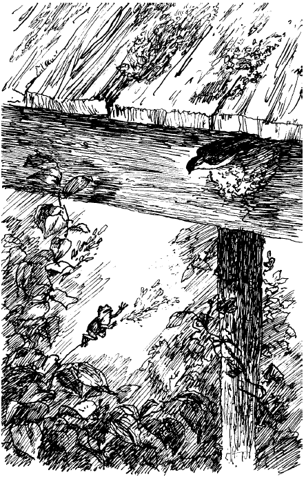 Заячьи лапы (сборник) - i_028.png