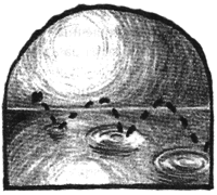 Чисто убийственное зло - i_024.png