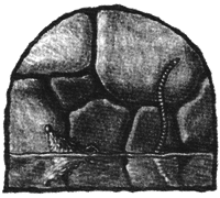 Чисто убийственное зло - i_027.png