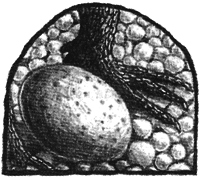 Чисто убийственное зло - i_028.png