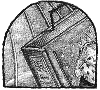 Чисто убийственный бриллиант - i_015.png