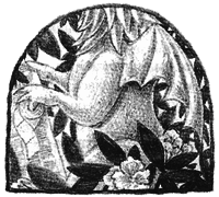 Чисто убийственный бриллиант - i_022.png