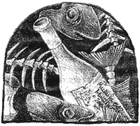 Чисто убийственный бриллиант - i_023.png