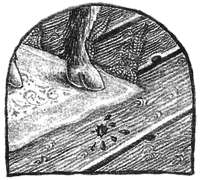 Чисто убийственный бриллиант - i_028.png