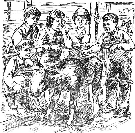 Васек Трубачев и его товарищи - i_014.png