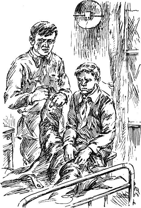 Васек Трубачев и его товарищи - i_037.png
